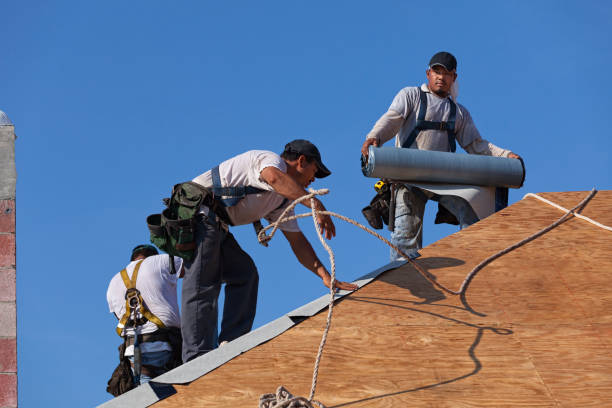 Best Emergency Roof Repair  in Auburn, KS