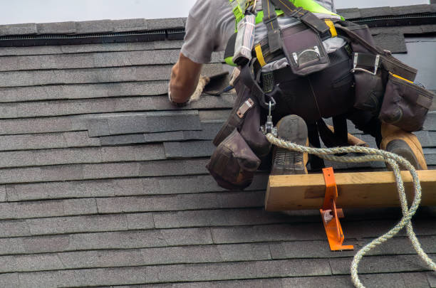 Best Storm Damage Roof Repair  in Auburn, KS
