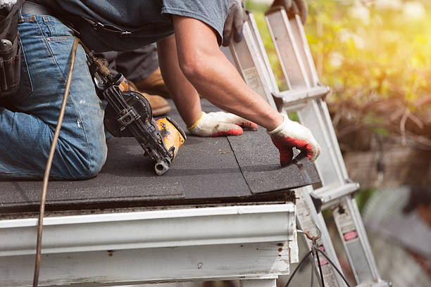 Best Flat Roof Repair Services  in Auburn, KS
